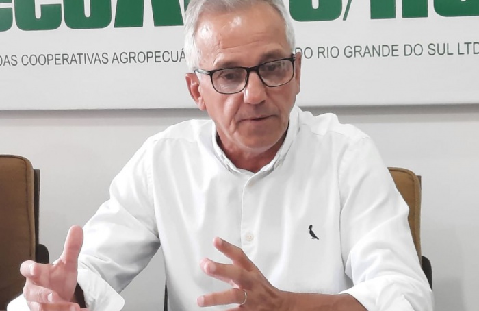 Cultura do trigo pode encolher no RS em 2025, avalia Federação