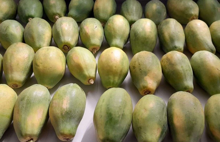 Estudo aponta eficácia de óleos contra fungos em frutas