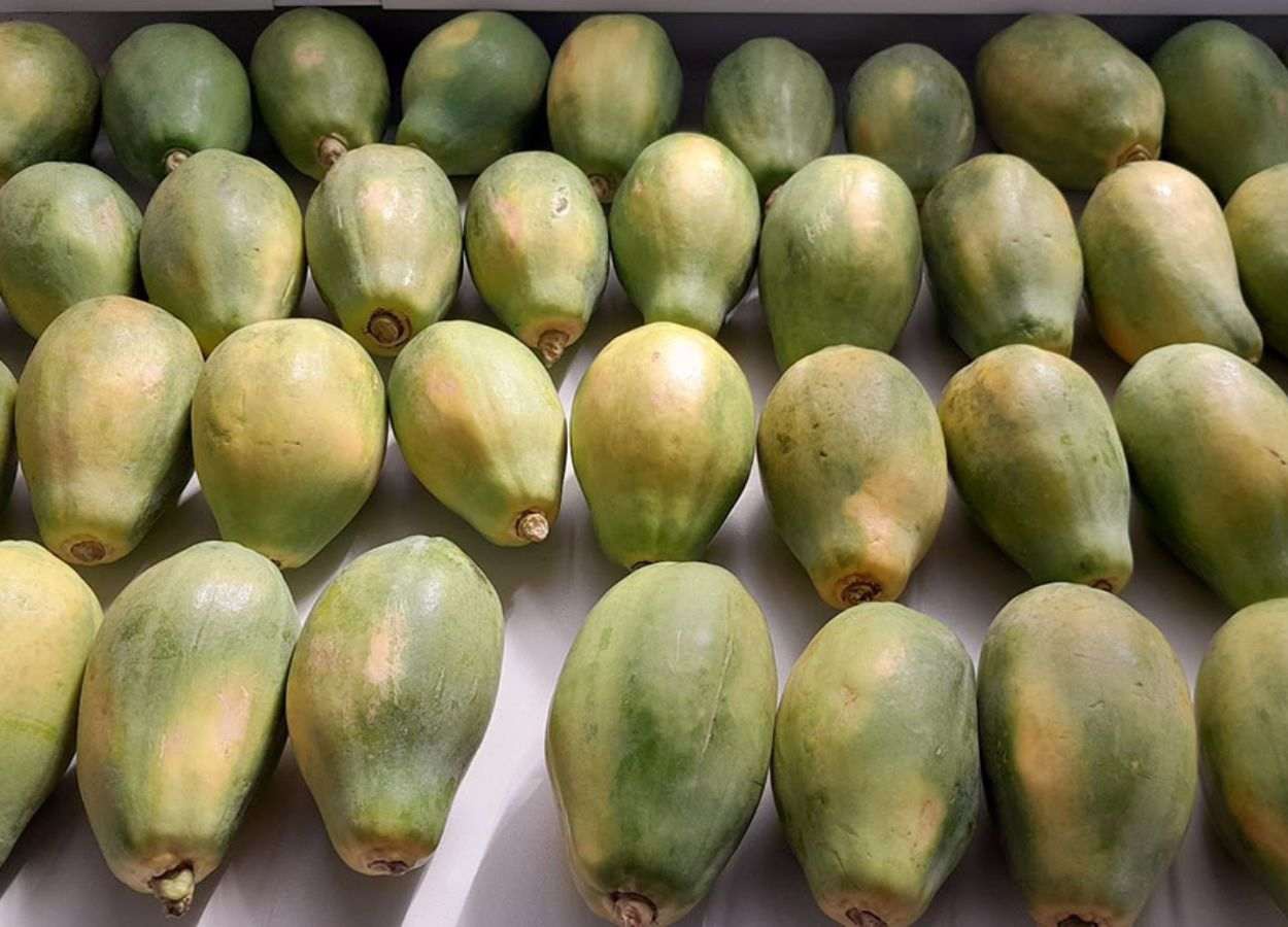 Estudo aponta eficácia de óleos contra fungos em frutas