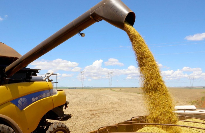 Complexo soja lidera exportações paranaenses no 1º trimestre