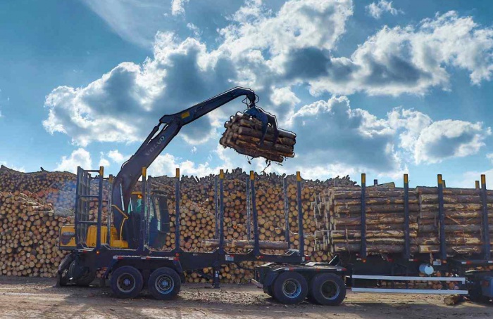 Paraná consolida vice-liderança no valor da produção florestal