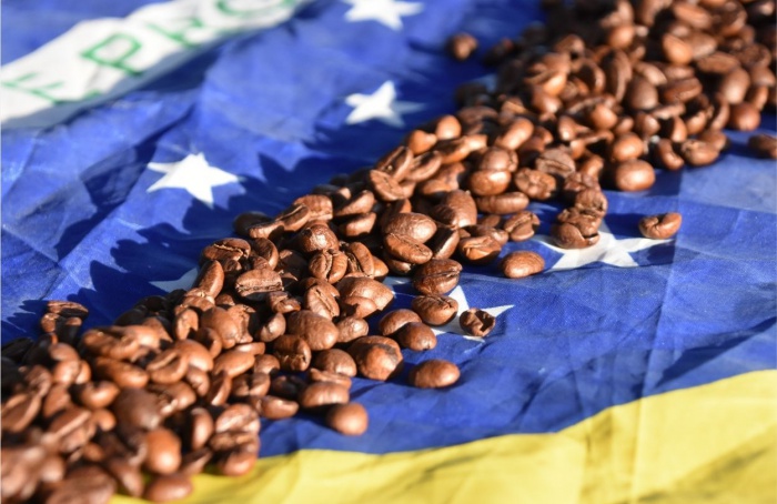 Exportação de café recua 1,6% em janeiro de 2025