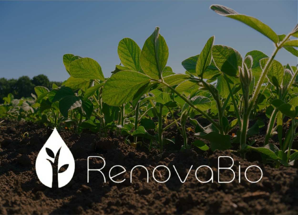 RenovaBio évite 147 millions de tonnes de CO₂ en cinq ans