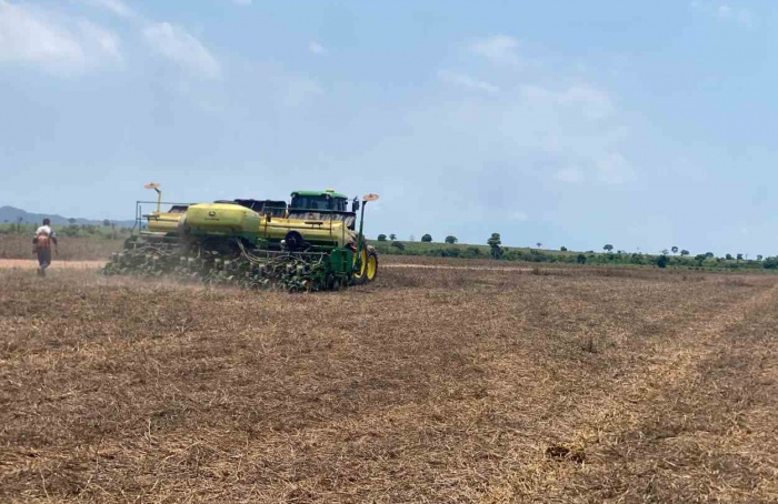 Soja rende 76 sacas por hectare em fazenda no Tocantins
