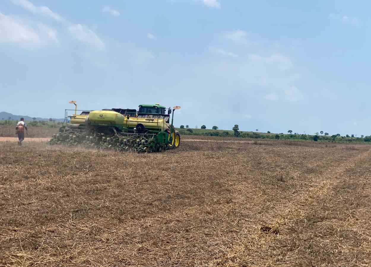 Soja rende 76 sacas por hectare em fazenda no Tocantins
