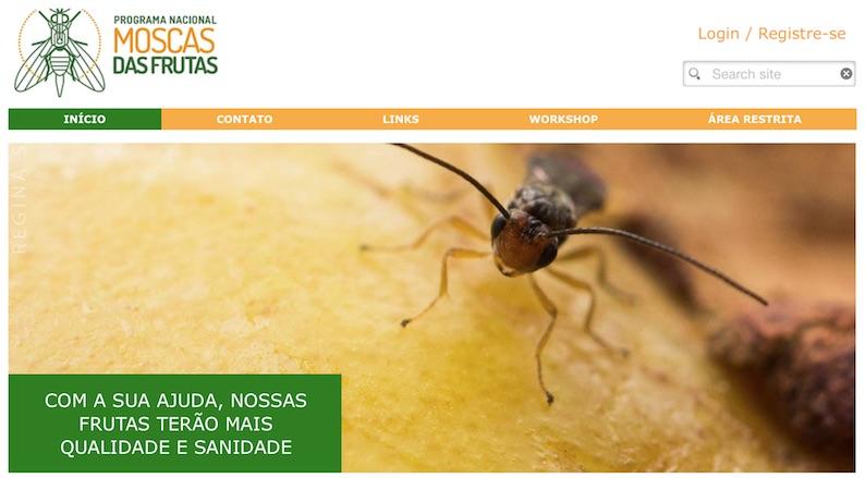 Programa de controle às moscas-das-frutas pode melhorar status fitossanitário do Brasil