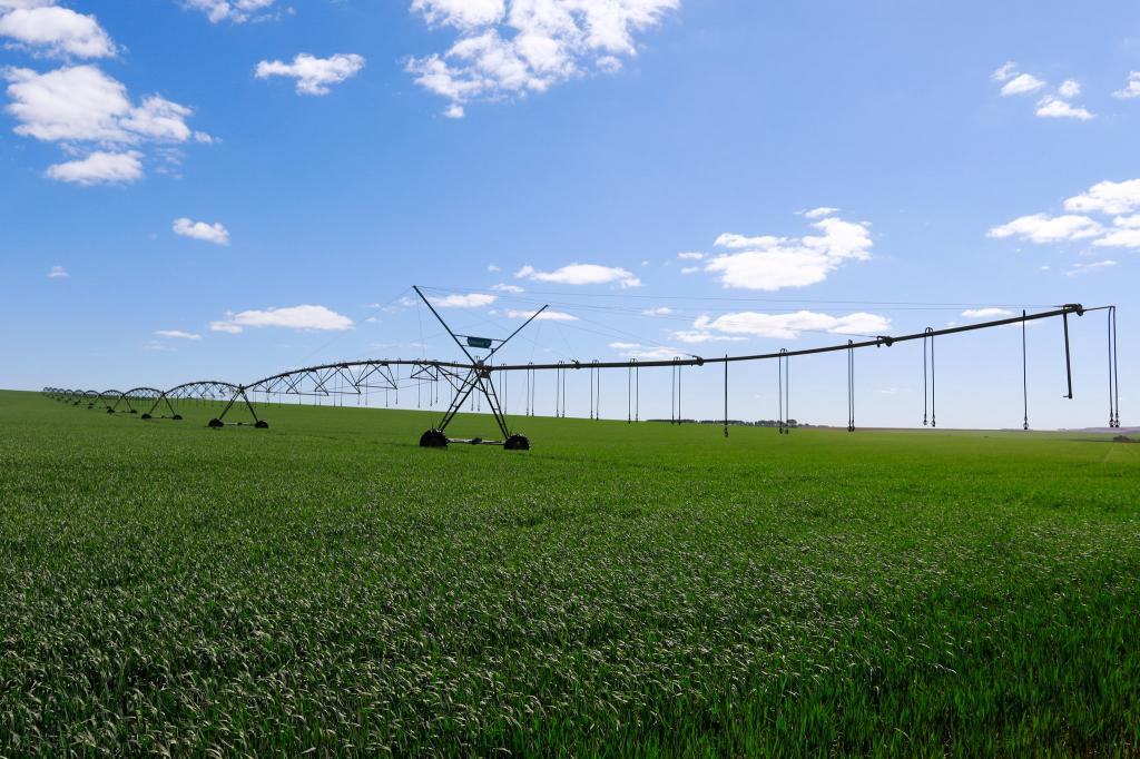 Fórum de Inovação Agropecuária busca integrar o campo ao mundo digital