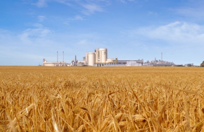 Atuação da Agrária impulsiona Guarapuava (PR) na conquista do título de Capital Nacional da Cevada e do Malte