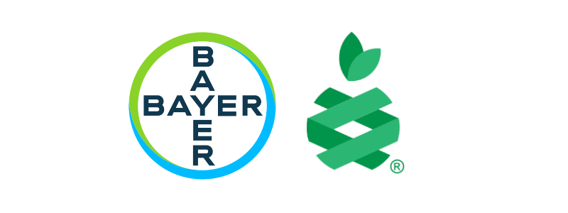 Bayer e Pairwise comunicam acordo para avançar no milho de baixa estatura