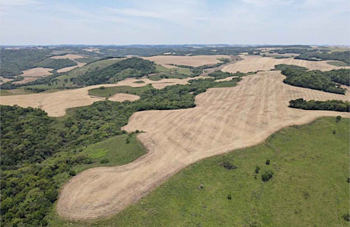 Ibama embarga mil hectares em fiscalização no Rio Grande do Sul