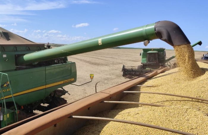 Colheita da soja e plantio do milho avançam em MS