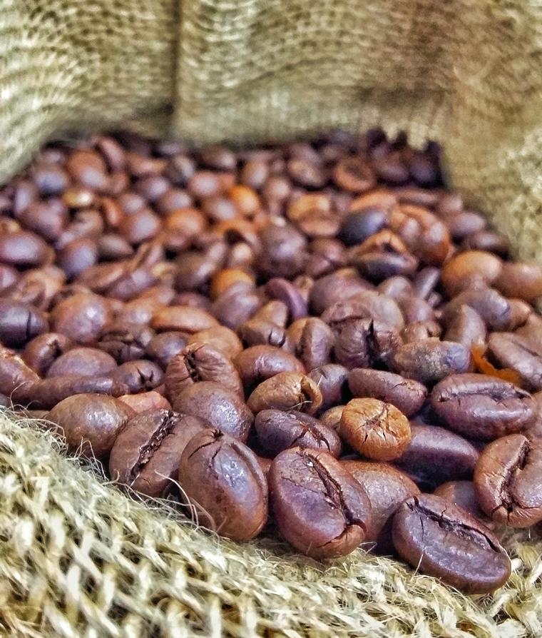 Futuro da cafeicultura de Rondônia está na qualidade e abertura de novos mercados