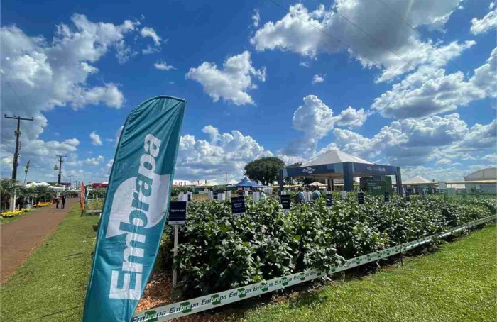 Embrapa destaca soja de baixo carbono no Show Rural Coopavel