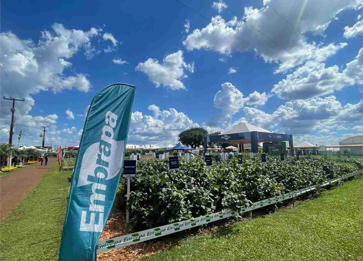 Embrapa destaca soja de baixo carbono no Show Rural Coopavel