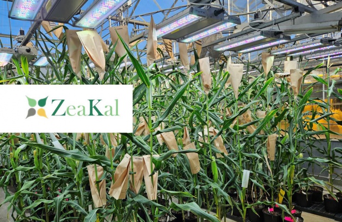ZeaKal apresenta milho PhotoSeed nos Estados Unidos