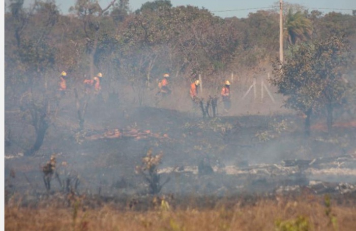 Práticas de prevenção auxiliam na conservação da propriedade rural e do bioma Pantanal