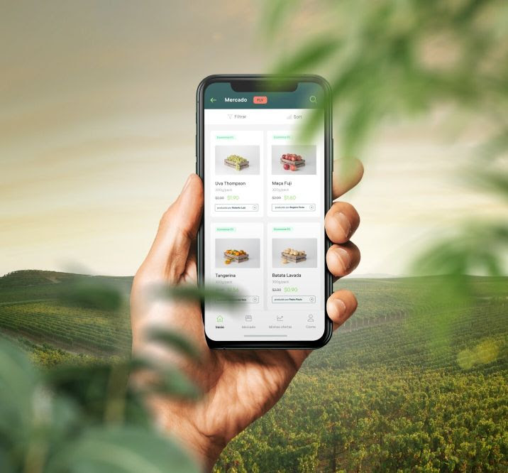 OpenSolo lança solução para integrar a cadeia de frutas, legumes e verduras