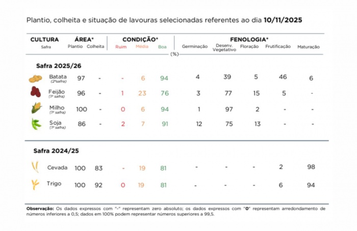 PR Safra 2025/26: chuvas causam perdas e atrasos nas lavouras
