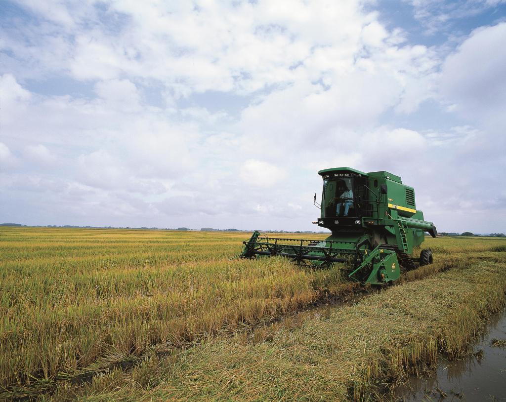 ​RiceTec presente na Abertura Oficial da Colheita do Arroz no Uruguai