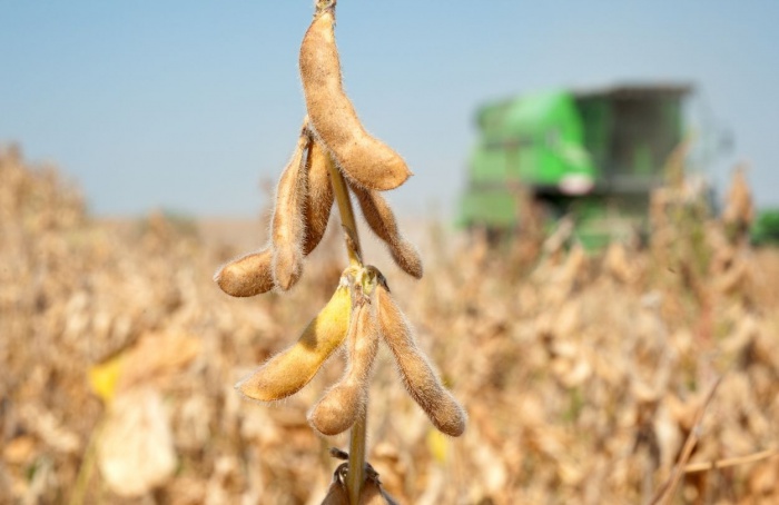 Biond Agro projeta safra recorde de soja no Brasil em 2025/26