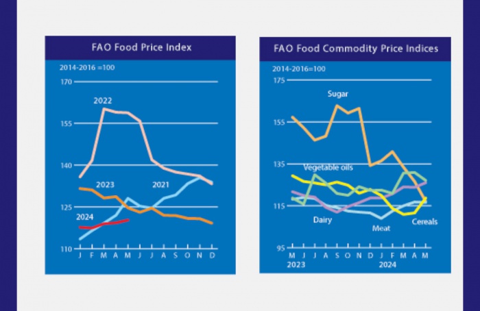 Preços globais de alimentos sobem pelo terceiro mês consecutivo, relata FAO