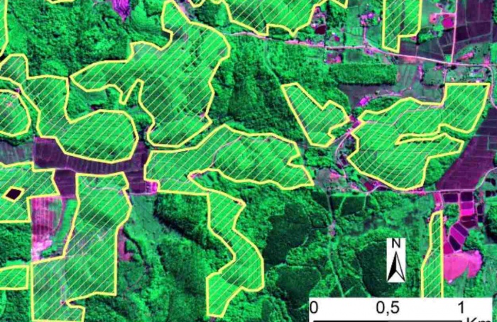 Imagens de satélite permitem mapeamento preciso de bananais em Santa Catarina