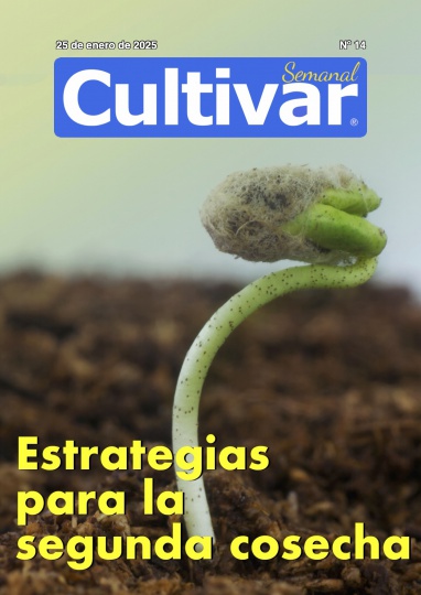 Cultivar Semanal 14