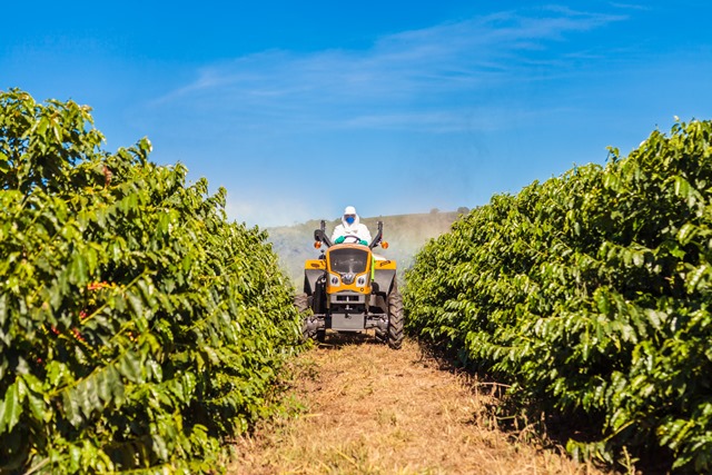 Soil compaction in coffee