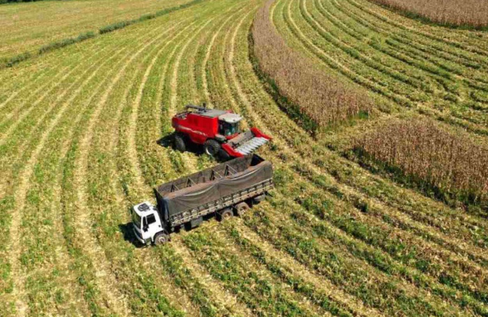 Superávit do Agro Paulista cresce 9,25% no acumulado de 2024