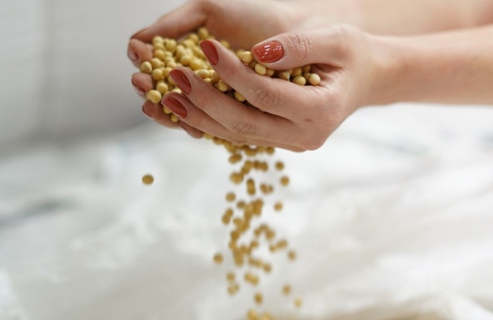 Frísia e Castrolanda lançam parceria estratégica em sementes