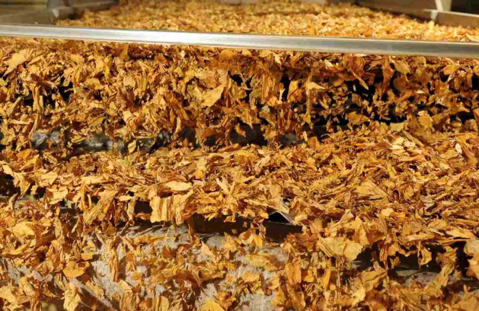 Setor do tabaco pode perder US$ 100 milhões com tarifa dos EUA