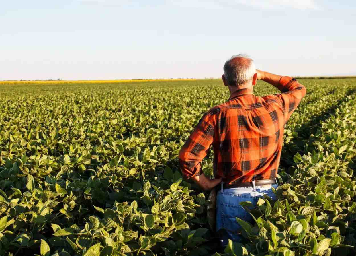 Inadimplência rural chega a 7,9% no 1º trimestre de 2025