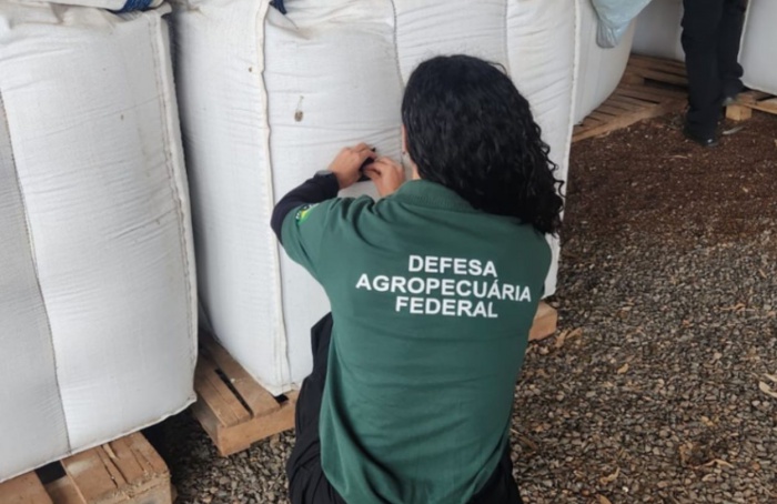 Ação apreende 1,4 mil toneladas de sementes irregulares no RS
