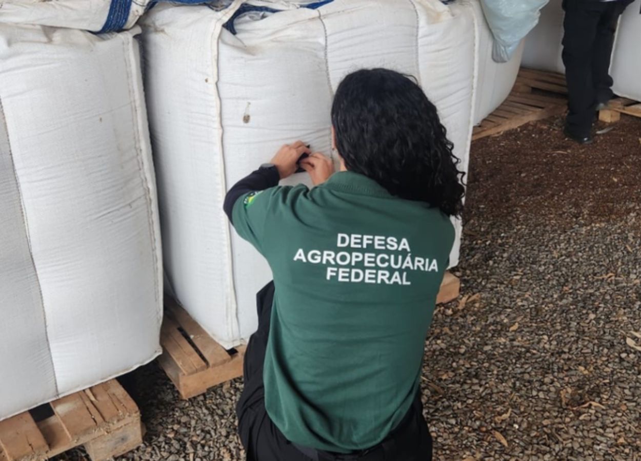 Ação apreende 1,4 mil toneladas de sementes irregulares no RS