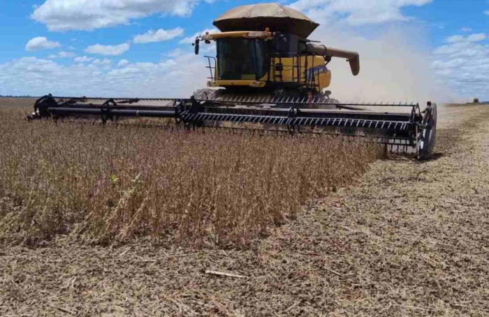 Safra de soja de Mato Grosso do Sul supera estimativas iniciais