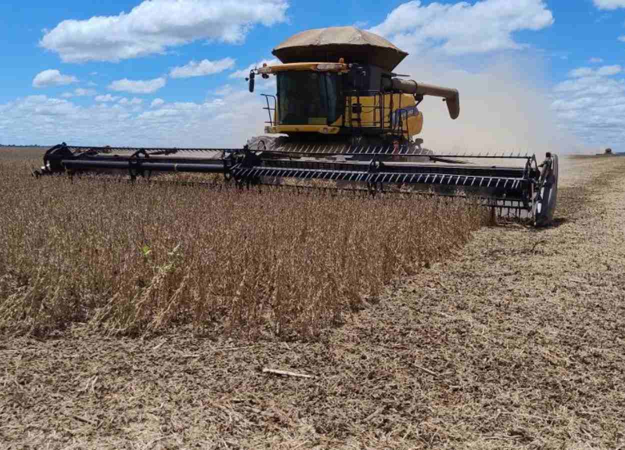 Safra de soja de Mato Grosso do Sul supera estimativas iniciais