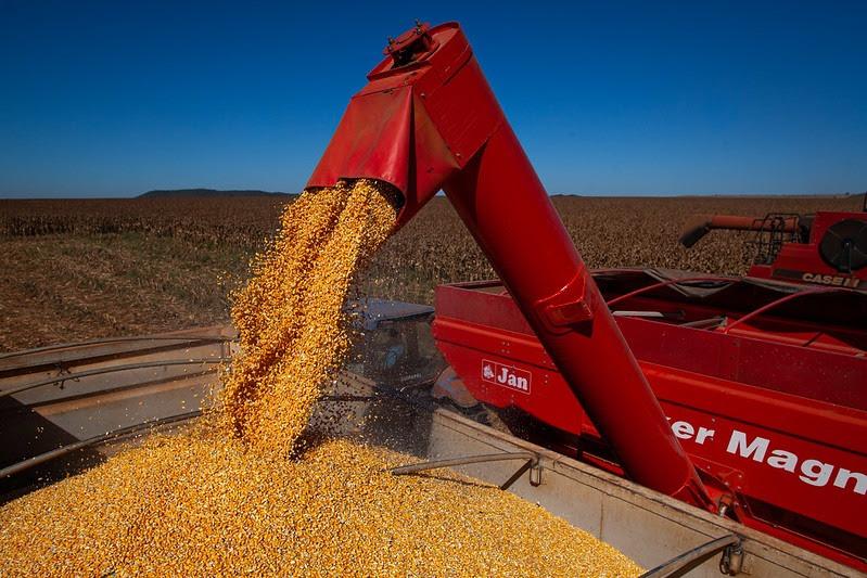 Aprosoja/MS e USP avaliam oferta e demanda de grãos no estado
