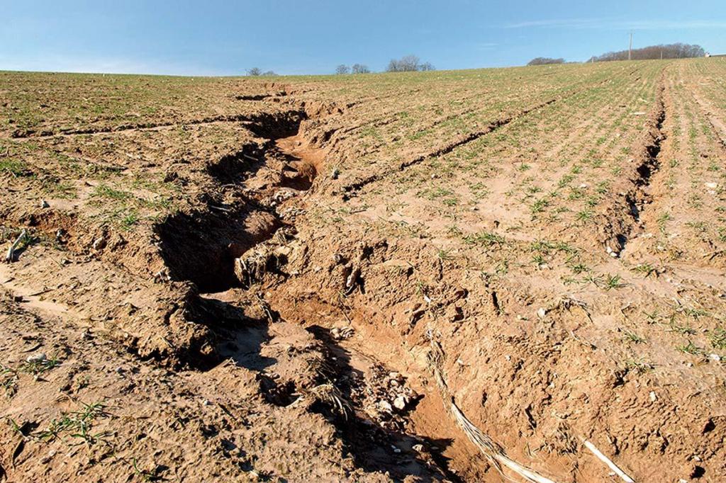 Pesquisas quantificam prejuízos causados no solo pela erosão hídrica no Paraná