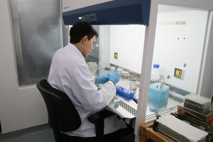 Laboratório da Embrapa treina sua equipe em boas práticas de OGMs