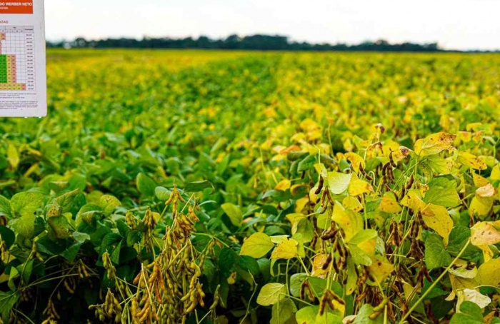 Coopernorte e Embrapa fortalecem a resiliência climática