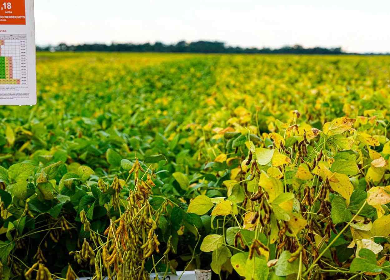 Coopernorte y Embrapa fortalecen la resiliencia climática.