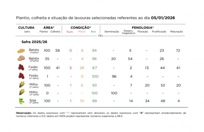 PR Safra 2025/26: clima favorece lavouras no início do ano