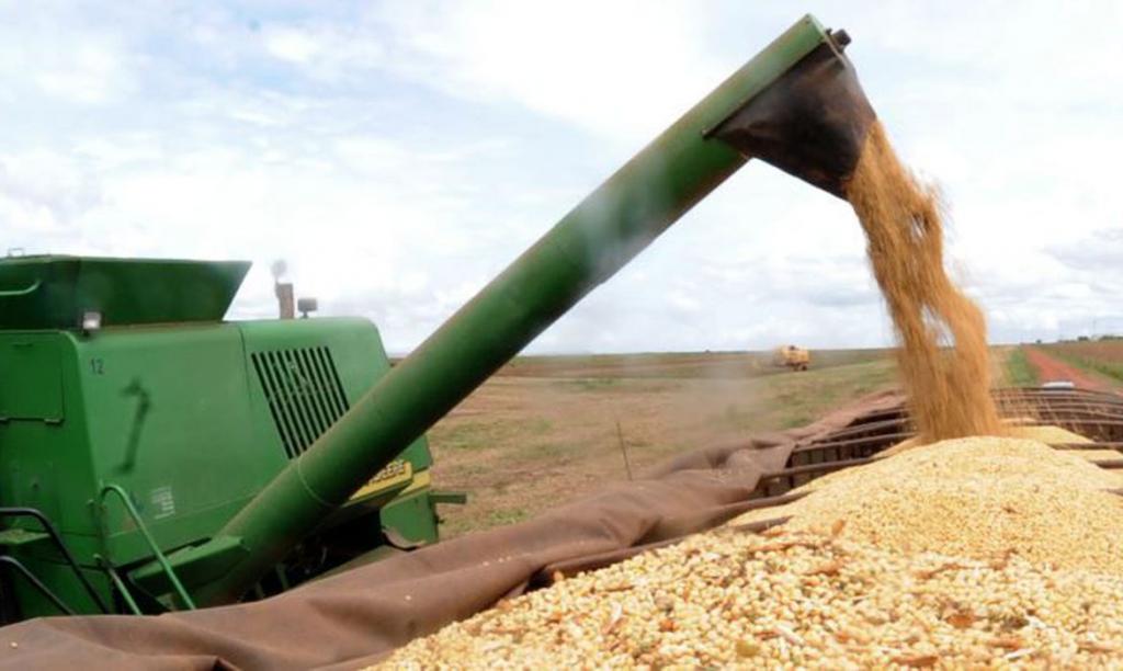 Ipea aponta crescimento de 2,5% do setor agropecuário apesar da Covid-19