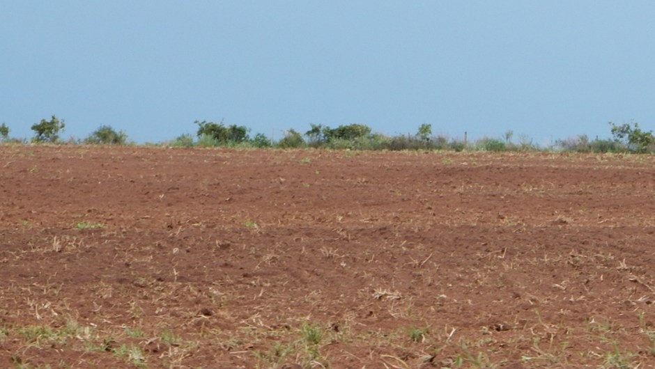 Área de pesquisa; foto: Alfredo Luiz