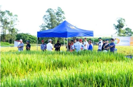 Vitrines tecnológicas atraem atenção do produtor na Abertura da Colheita