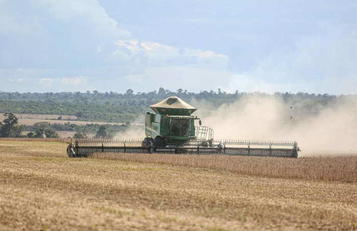 Safra brasileira de soja deve crescer 3,7% em 2025/26
