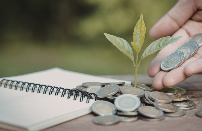 Seguro rural recua em 2025 e acende alerta no agro