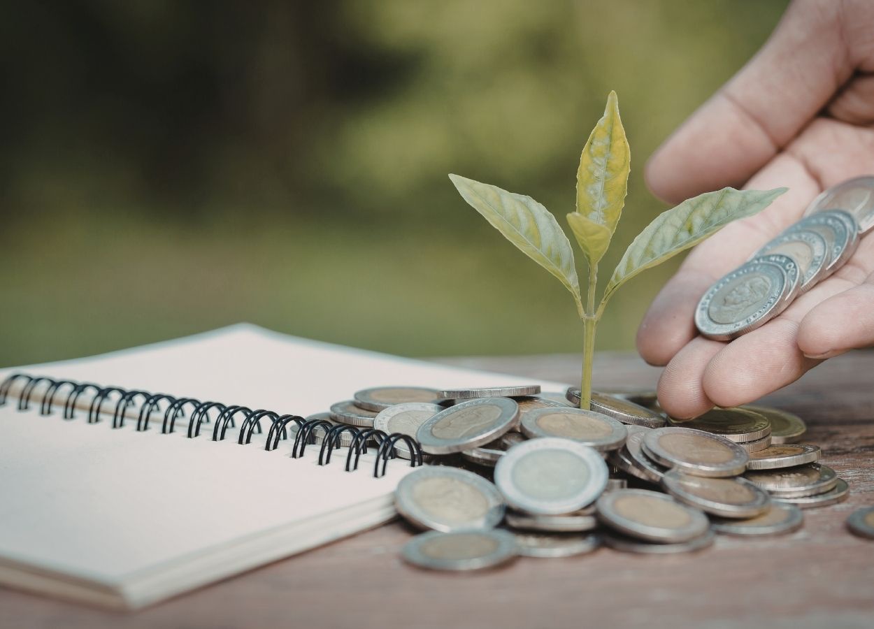 Seguro rural recua em 2025 e acende alerta no agro