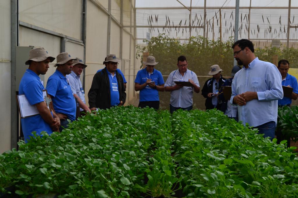 ​Encontro dos Técnicos reúne equipe para treinamentos de campo e de gestão em horticultura
