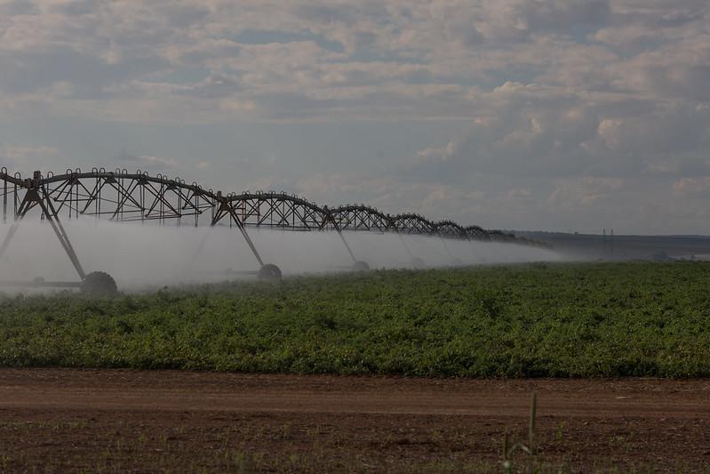 Levantamento identifica principais polos nacionais de agricultura irrigada do País